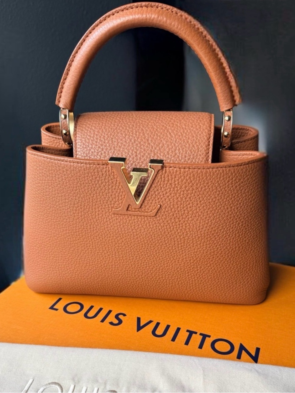 Louis Vuitton Tan Capucines BB
